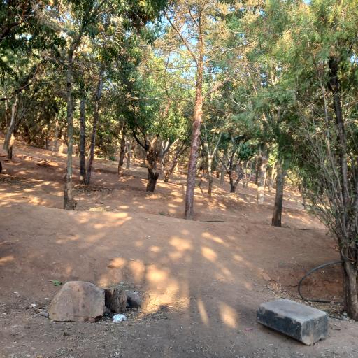 عکس پارک سارای، خان چوپان