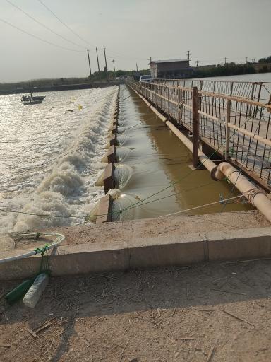 عکس پل صنگور