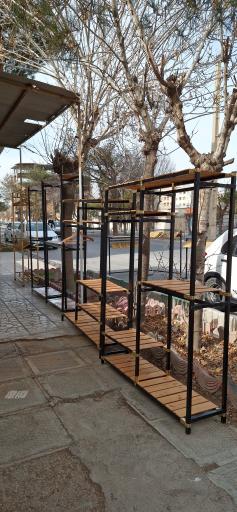 عکس رگال نورالهی 