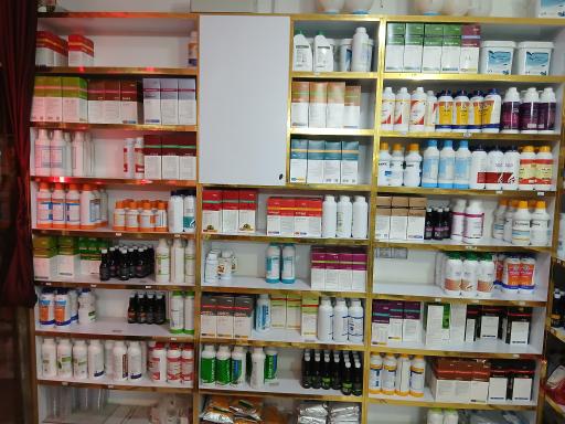 عکس علیمردانی بین علیمردانی ۱و۳