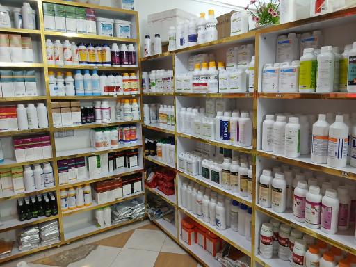 عکس علیمردانی بین علیمردانی ۱و۳