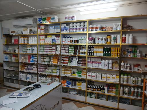 عکس علیمردانی بین علیمردانی ۱و۳