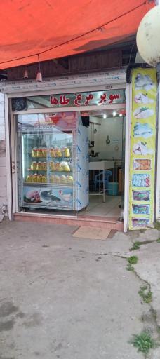 عکس مرغ فروشی طاها