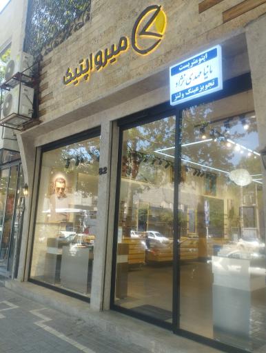 عکس میرواپتیک