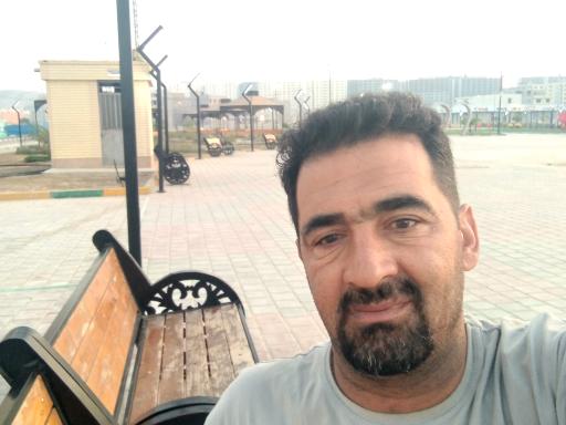 عکس بوستان نخل 