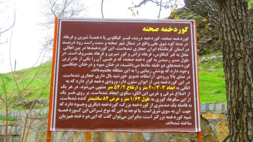 عکس گور دخمه کی کاووس شاه صحنه