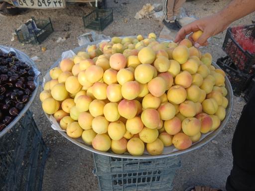 عکس میوه فروشی عمو بهرامی