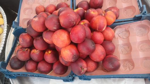 میوه فروشی عمو بهرامی