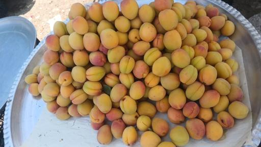 عکس میوه فروشی عمو بهرامی