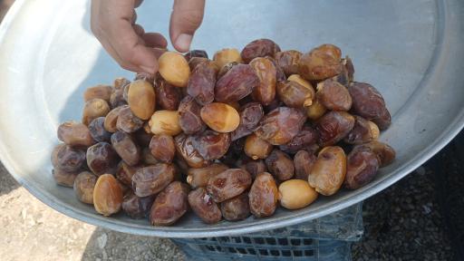 میوه فروشی عمو بهرامی