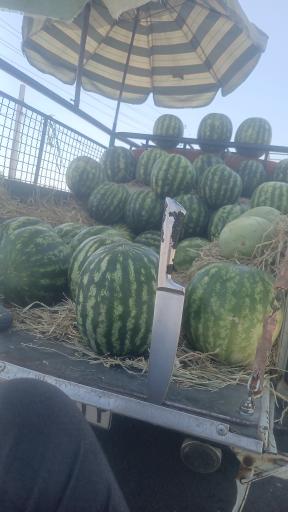 عکس میوه فروشی عمو بهرامی