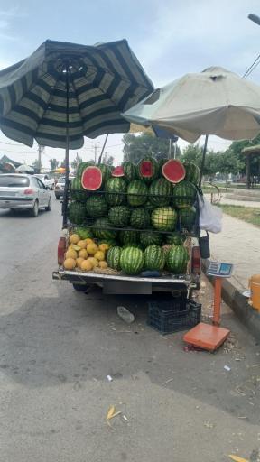 عکس میوه فروشی عمو بهرامی