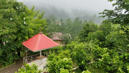 عکس اغوزکتی