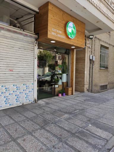 عکس گالری گل ژوبا