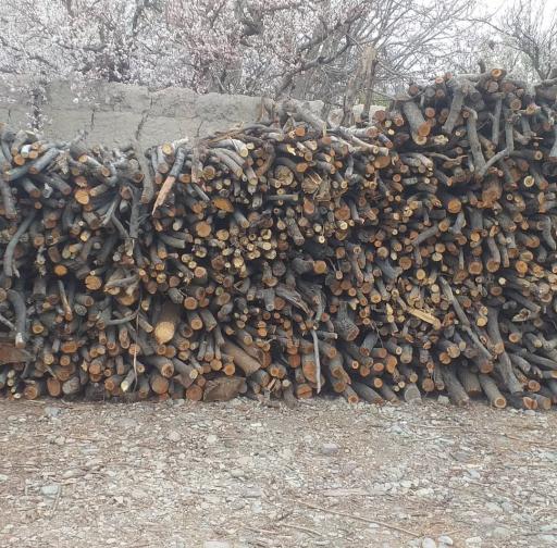 هیزمچی