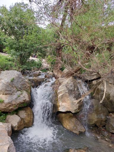 عکس گور دخمه کی کاووس شاه صحنه