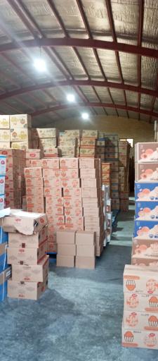 عکس مزمز شعبه زاهدان