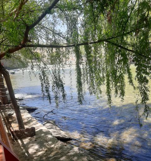 عکس چم طاق