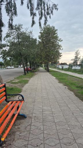 عکس ساحل سیترا