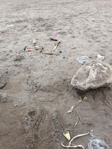 عکس ساحل سیترا