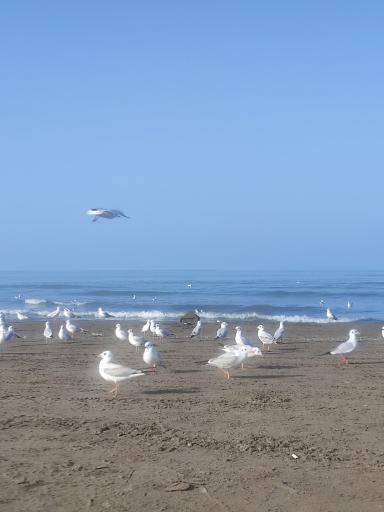 عکس ساحل سیترا