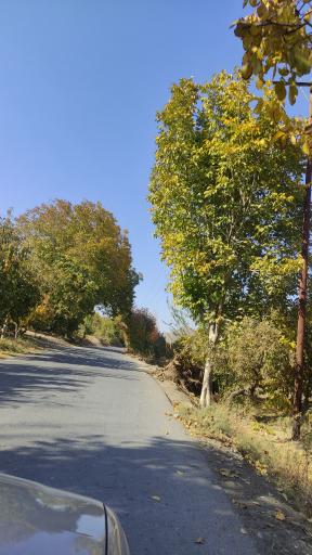 عکس چم طاق