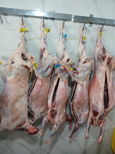 عکس سوپر گوشت امیدی