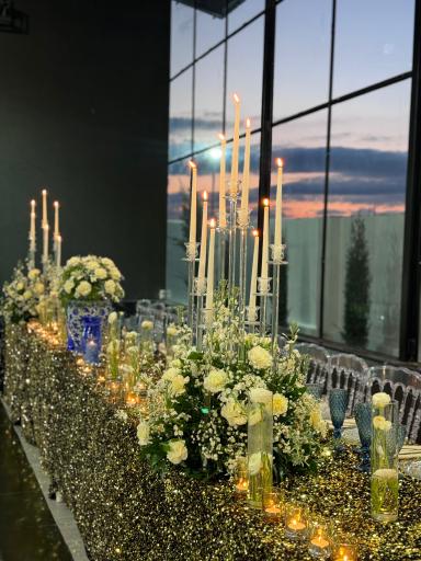 عکس باغ تالار رزا