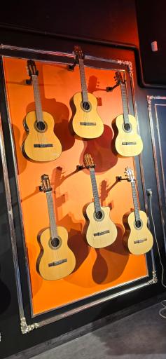 عکس گالری موسیقی شیدا