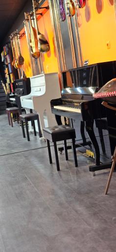 گالری موسیقی شیدا