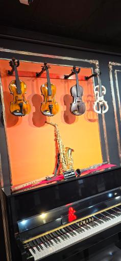 عکس گالری موسیقی شیدا