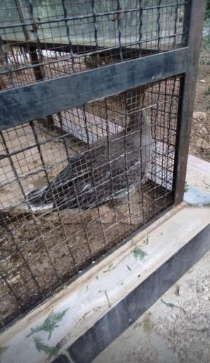 عکس بوستان  خانوادگی سجادیه