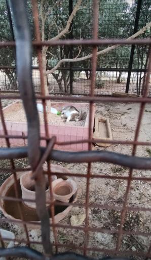 عکس بوستان  خانوادگی سجادیه