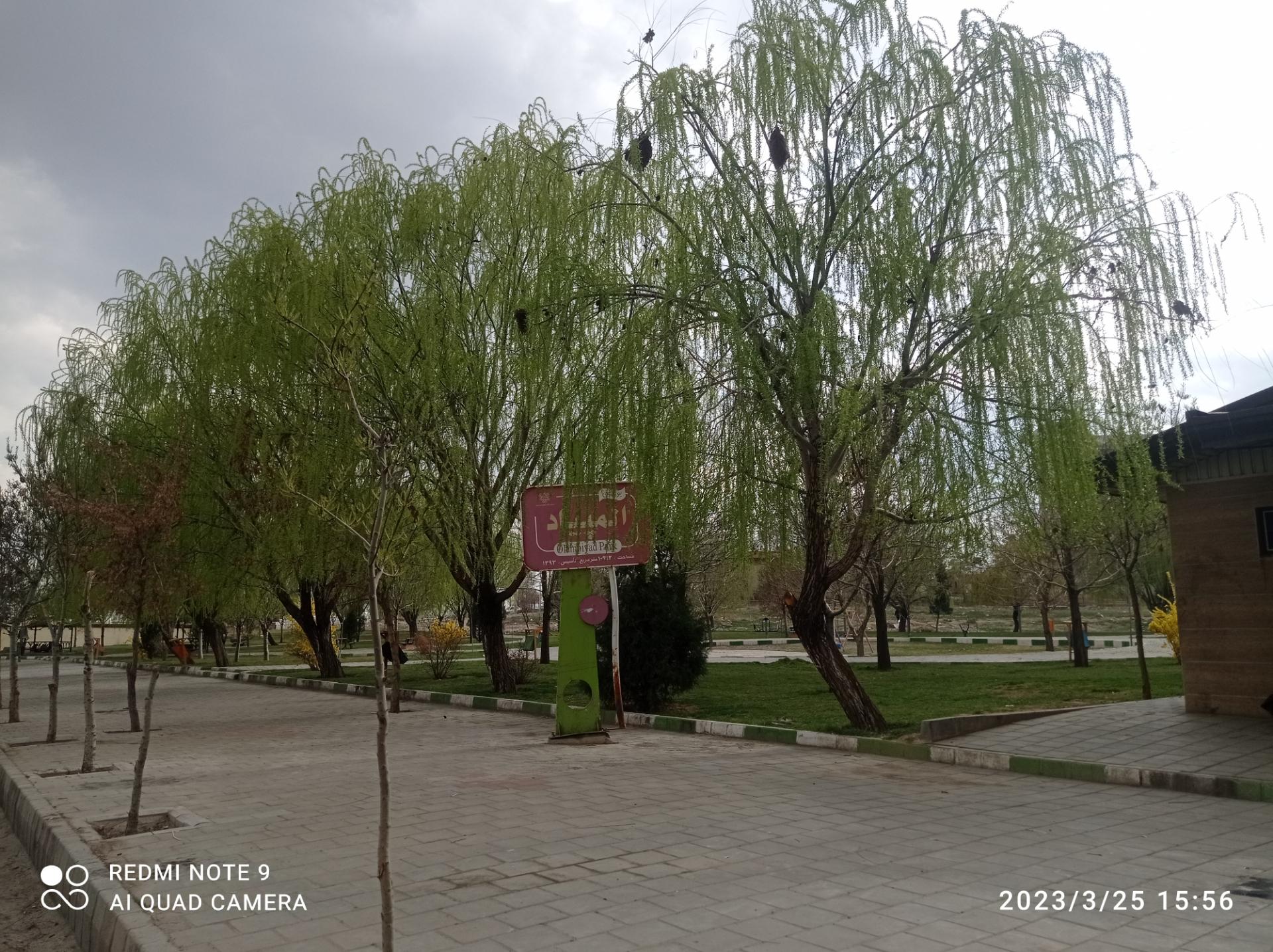 عکس بوستان المپیاد