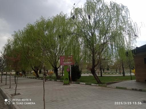 عکس بوستان المپیاد