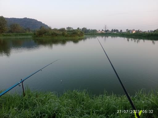 عکس سل دیوشل 