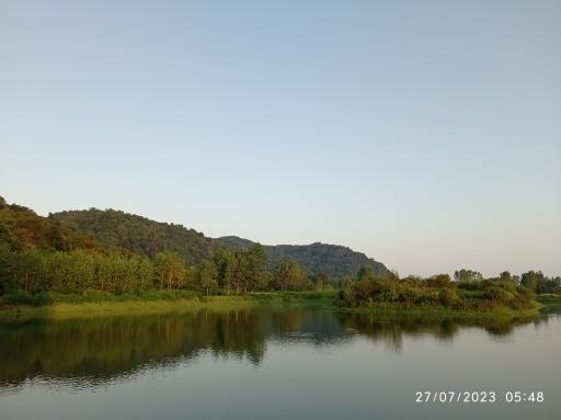 عکس سل دیوشل 