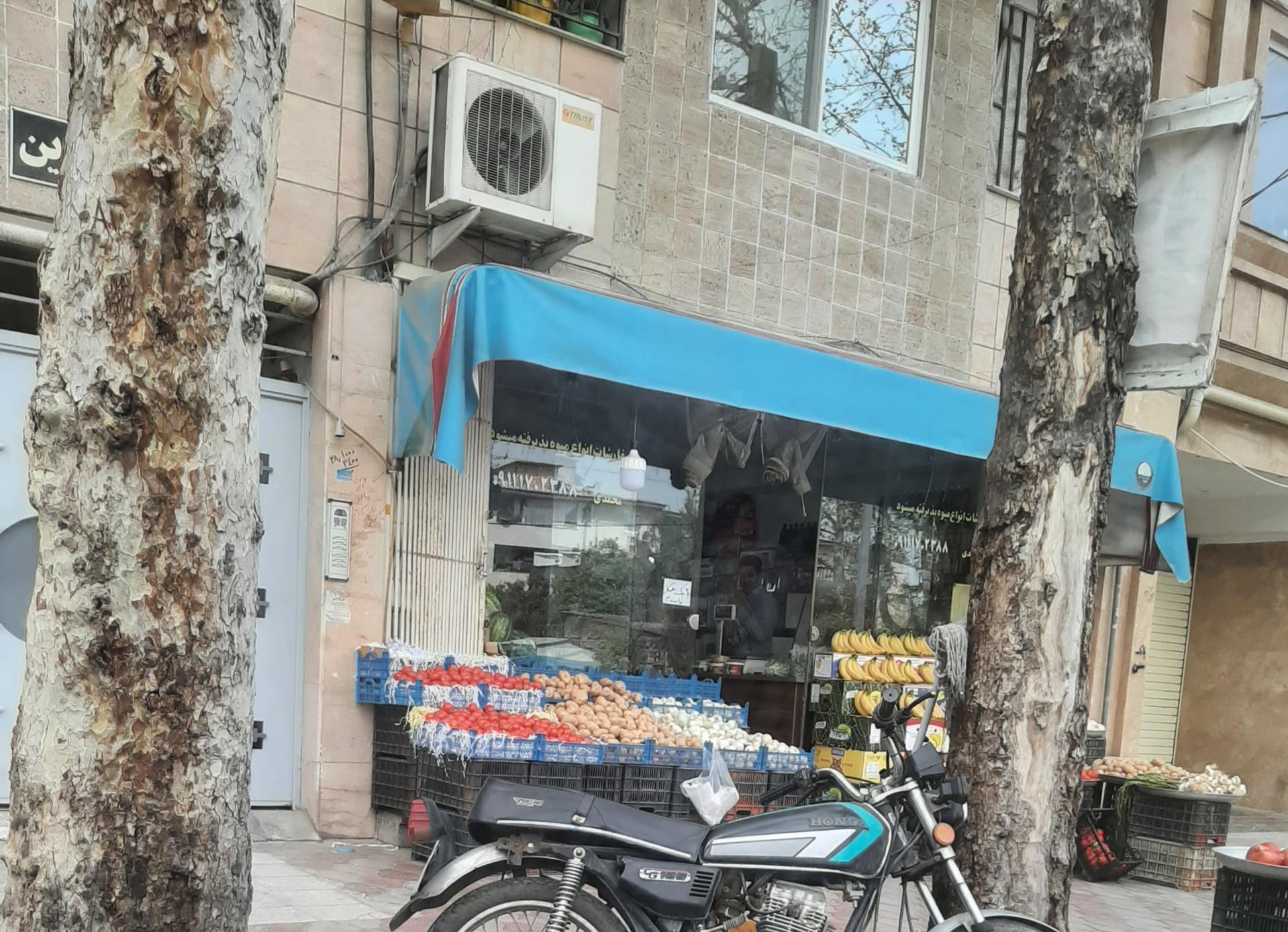 عکس میوه فروشی محمدی