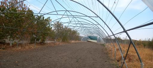 عکس گلخانه خیاط زاده