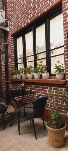 عکس  کافه دارمان