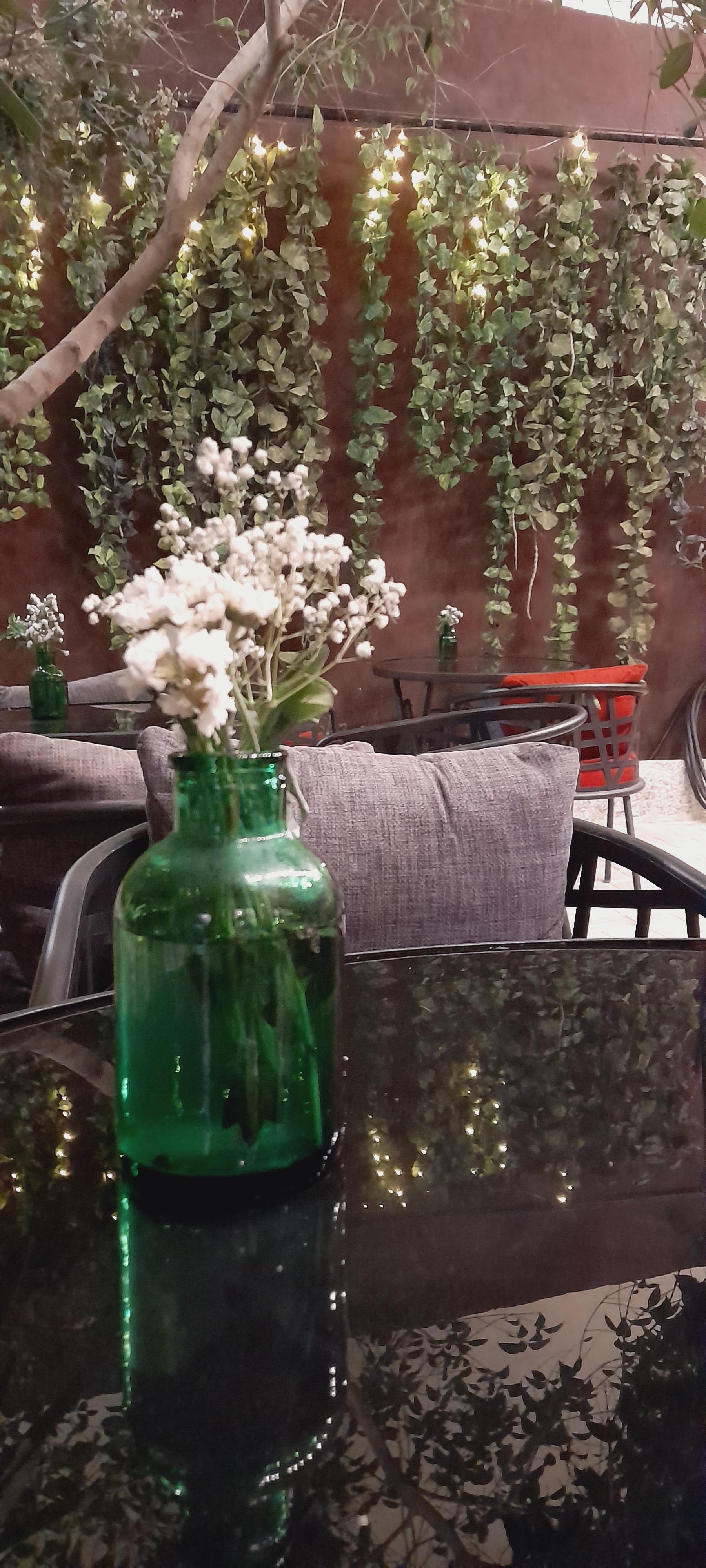 عکس  کافه دارمان