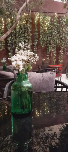 عکس  کافه دارمان