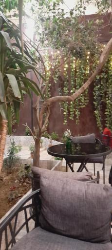 عکس  کافه دارمان