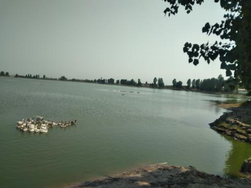 عکس پارک بالامحل