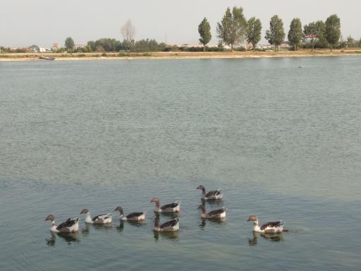 عکس پارک بالامحل