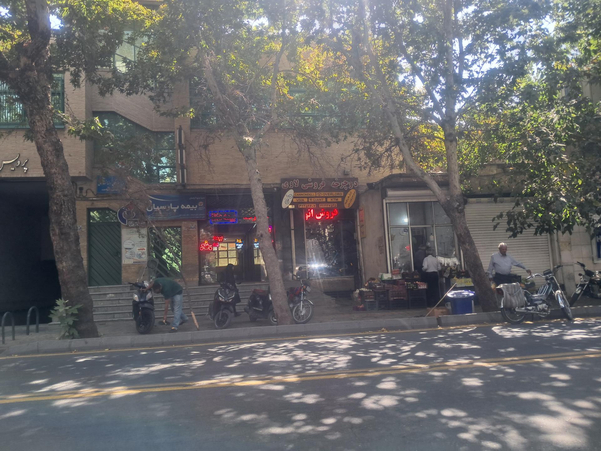 عکس دوچرخه فروشی لاوی