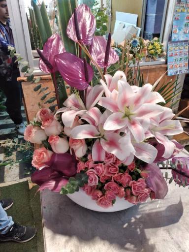 عکس گلفروشی نرگس احمد رضایی