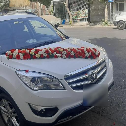 عکس گلفروشی نرگس احمد رضایی