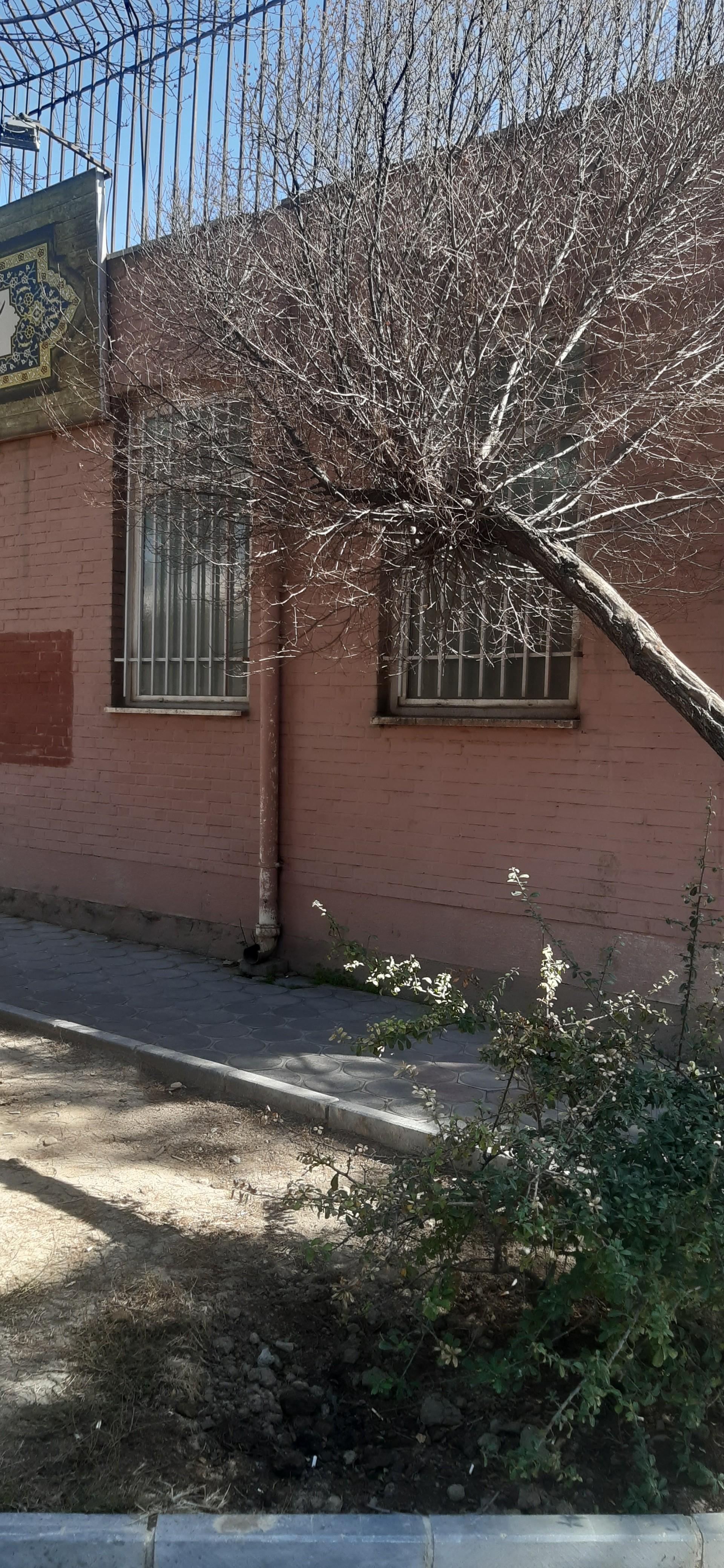 عکس کتابخانه استاد قادر طهماسبی