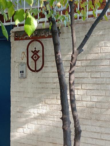 عکس کافه وی